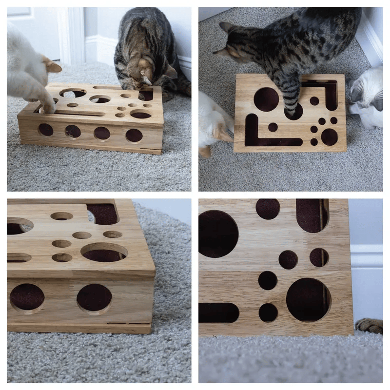 🎁😻 Cat Scratch Puzzle Enrichment Box Stress-Free Nail Care Without Clippers or Grinders 1