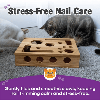 🎁😻 Cat scratching toy box, easily care for your cat's nails without nail clippers or nail file.